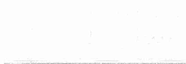 drozdec černohlavý - ML618561305