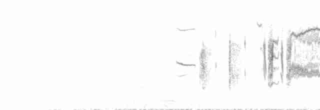 Кропив’янка сардинська - ML618561467
