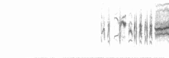 Кропив’янка сардинська - ML618561469