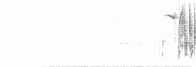 Ligurien-Bartgrasmücke - ML618561632