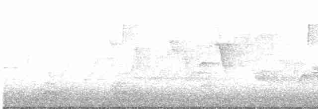 Canada Warbler - ML618562984