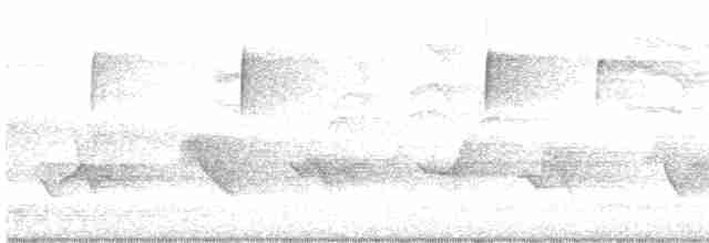 Чернокрылая пиранга - ML618563998