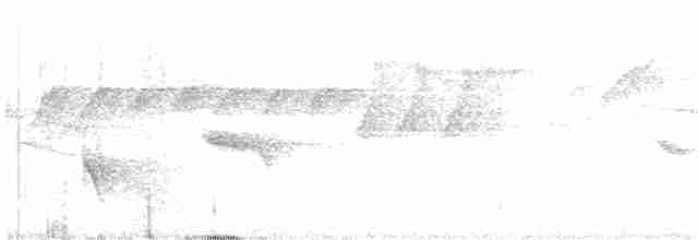 Белогорлая веерохвостка - ML618564131