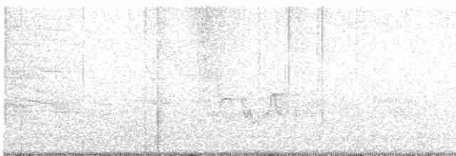 Cerulean Warbler - ML618564544