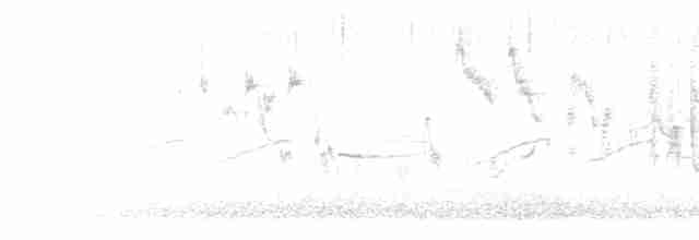Klappergrasmücke - ML618565105