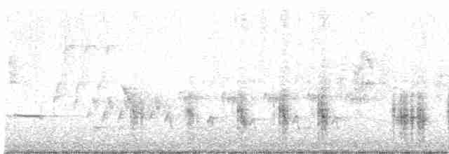 Great Reed Warbler - ML618566119