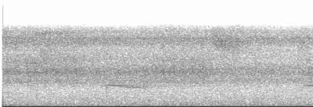 Тукан чорнодзьобий - ML618566667
