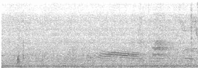 Long-tailed Manakin - ML618566853