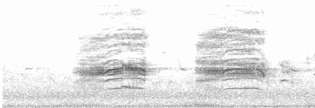 Uroilanda handia - ML618567477