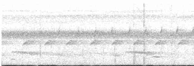 Тукан чорнодзьобий - ML618567952