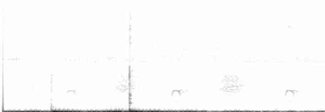 Aschgrau-Ameisenfänger - ML618568278