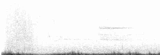 Мангровая древесница [группа aestiva] - ML618570256