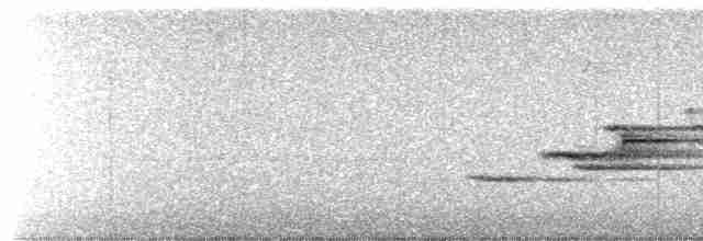 Münzevi Bülbül Ardıcı - ML618570313