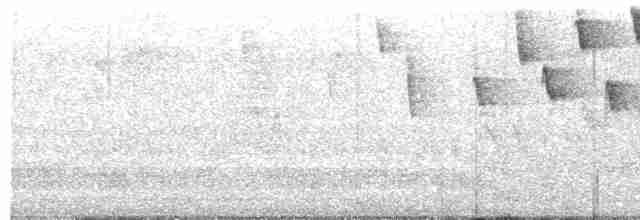 Tennessee Warbler - ML618570360