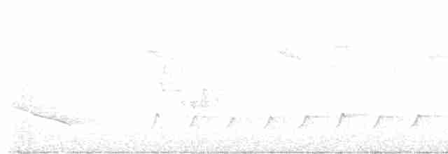 Cerulean Warbler - ML618571036