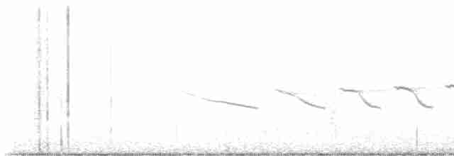 Paruline noir et blanc - ML618571413