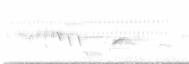 Cerulean Warbler - ML618571943