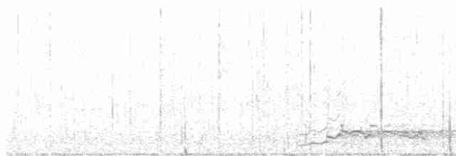 Гагара полярна - ML618574714