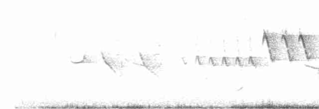 Червоїд рудогузий - ML618574901