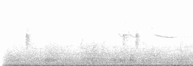 Prairie Warbler - ML618575204