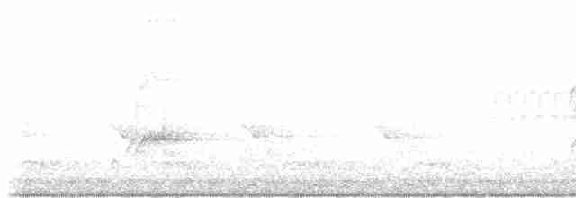 Sarı Karınlı Sinekkapan - ML618575245