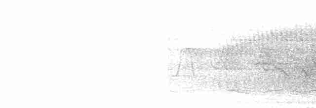 Al Göğüslü Kocabaş - ML618575257
