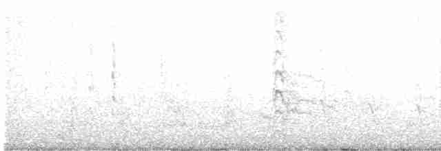 Желтобрюхий дятел-сокоед - ML618575264
