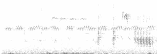Great Reed Warbler - ML618575742