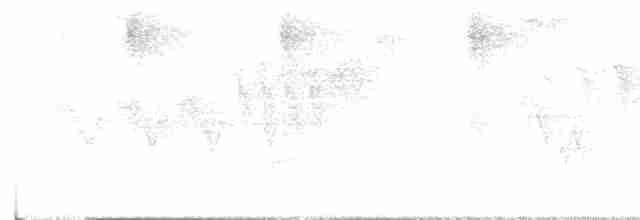 Cerulean Warbler - ML618576210