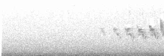 Cerulean Warbler - ML618577375
