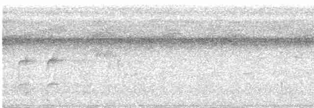 White-throated Toucan - ML618577722