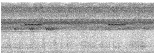 White-throated Toucan - ML618577724