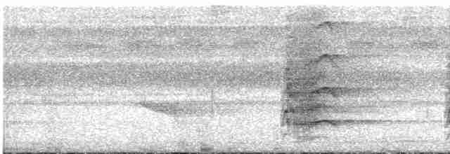 Полосатый арасари - ML618578882