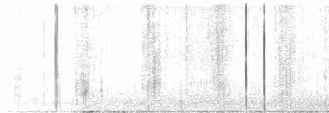 Дрізд-короткодзьоб плямистоволий - ML618579232