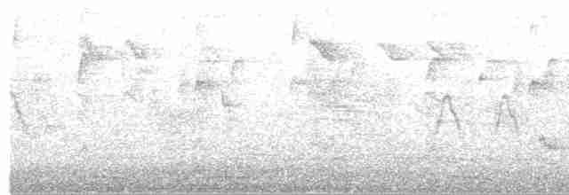 Colibri trompeur - ML618579933
