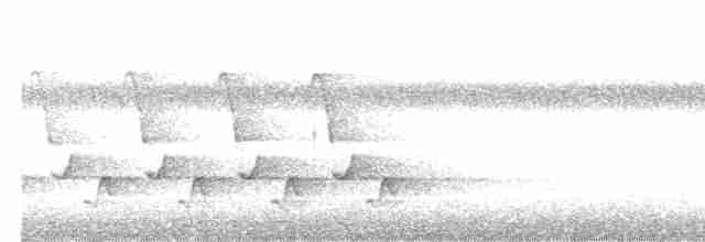 Каролинский крапивник - ML618580666