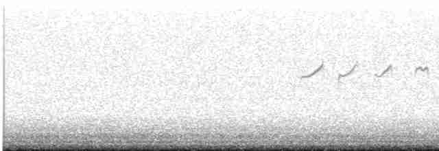Улит-отшельник - ML618581128