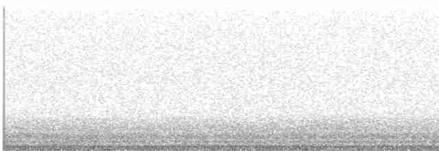 Дрізд-короткодзьоб Cвенсона - ML618581149