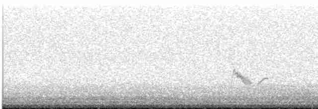 Чернокрылая пиранга - ML618581184