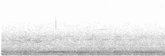 Белокрылая горлица - ML618581230