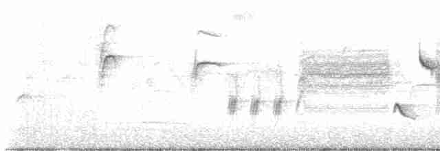 Длиннохвостый крапивник - ML618581321