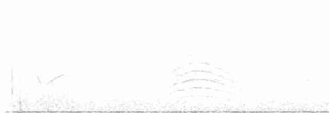 drozdec černohlavý - ML618584709
