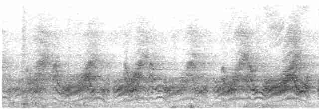 Кратеропа чорноголова (підвид reinwardtii) - ML618584964