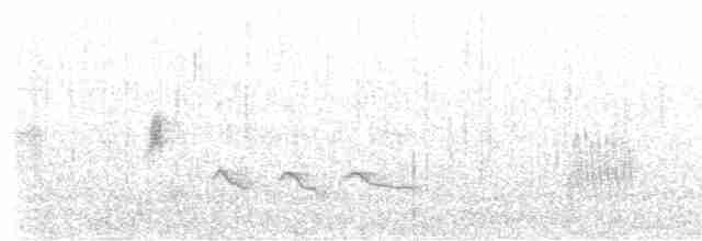 Mirlo Acuático Norteamericano - ML618585192