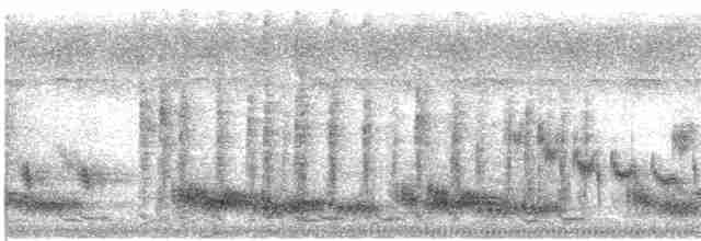 Weißschopf-Brillenvanga (plumatus) - ML618585215