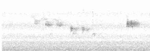 Пронурок сірий - ML618585288