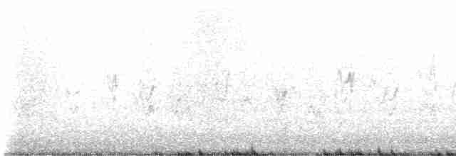 Деревенская ласточка (erythrogaster) - ML618585333