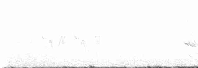 Common Yellowthroat - ML618585535