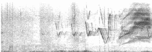 Long-tailed Meadowlark - ML618586886