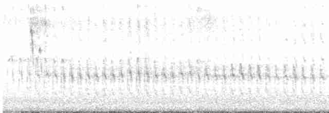 Pic chevelu (groupe villosus) - ML618587175